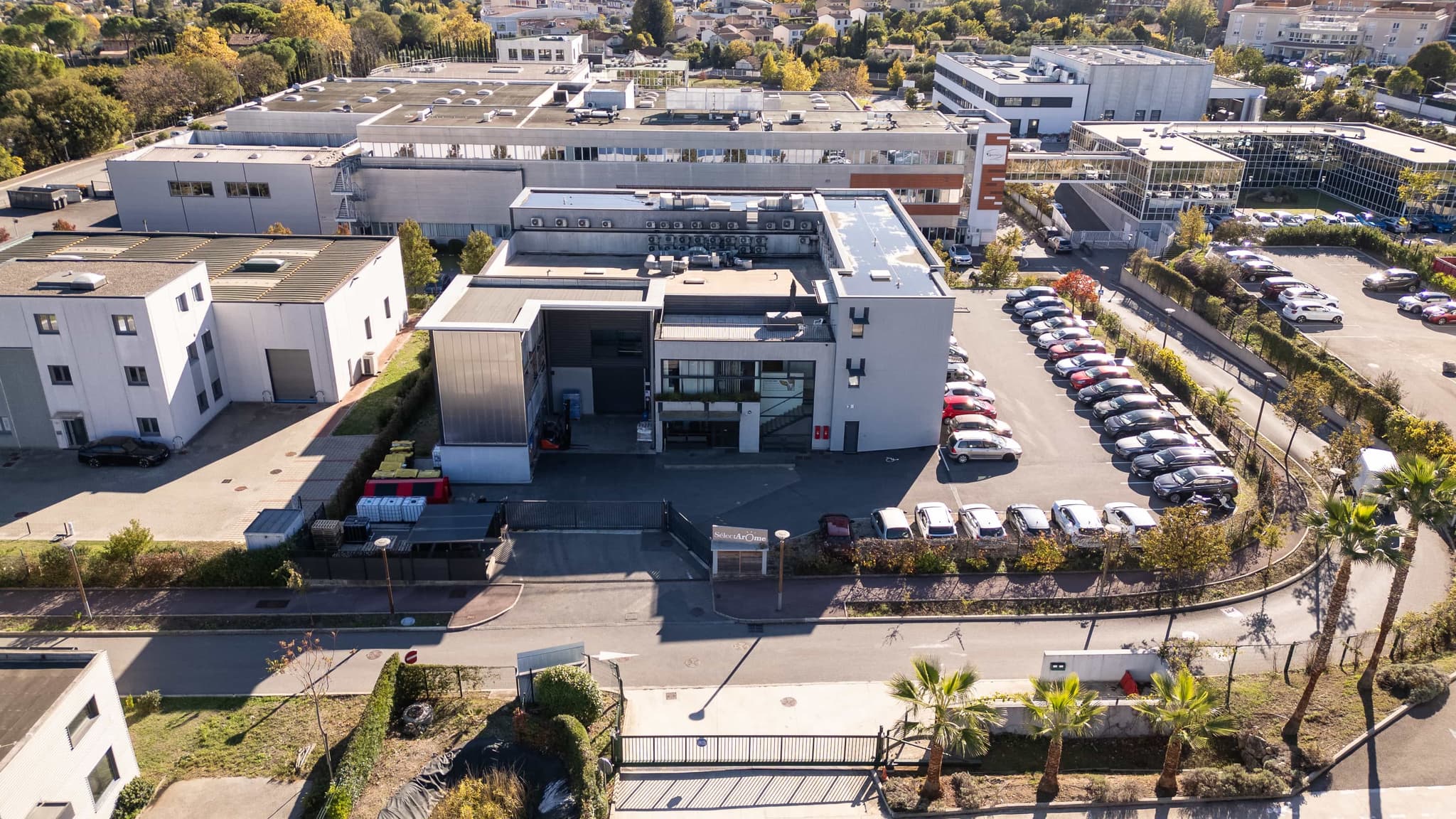 Society image representing numbers